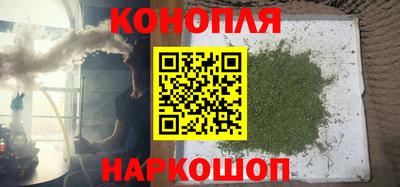 стаф Будённовск
